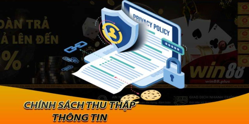 Các thông tin WIN55 thu thập của người chơi