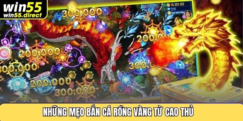 Những mẹo bắn cá rồng vàng từ cao thủ